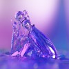 Biird Cecii - szklane dildo - Zdjęcie 4