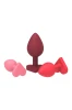 Dreamtoys Amour - Prezentowy Zestaw analny Pasja Miłości - Zdjęcie 2
