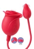 Xocoon Blushing Rose wielofunkcyjny stymulator Róża 3w1 Wibrator USB-C - Zdjęcie 1