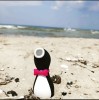 Satisfyer Penguin Air Pulse Stimulator - pingwinek bezdotykowy masażer łechtaczki - Zdjęcie 6